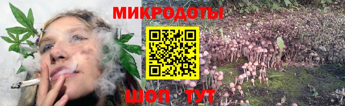 Галлюциногенные грибы GOLDEN TEACHER Зима