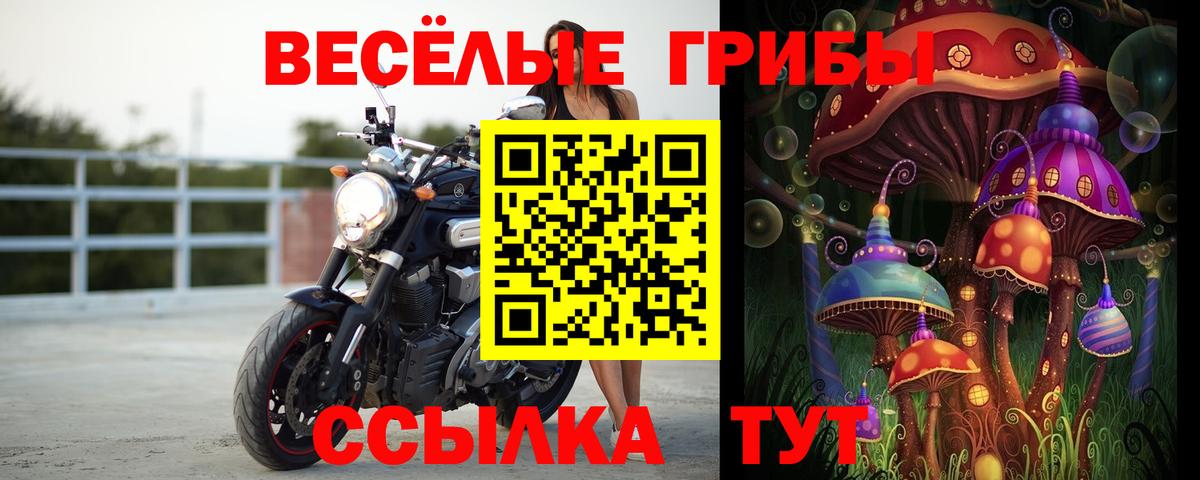 Зима  Галлюциногенные грибы Psilocybine cubensis  Вход с VPN 